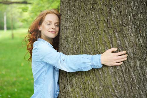 Ausbildung zum Kursleiter für Natur und Walderleben