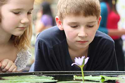 Ausbildung Achtsamkeitstrainer für Kinder