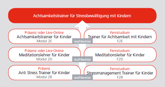 Ausbildungsübersicht Achtsamkeitstrainer Stressbewaeltigung Kinder