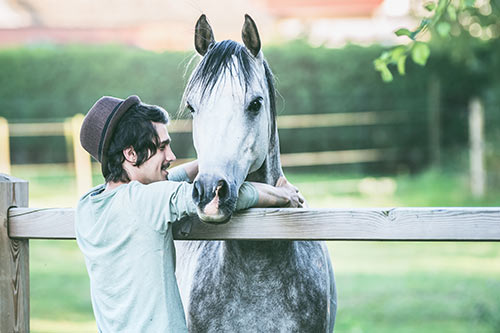 fitequi® Coach & Trainer für pferdegestütztes Achtsamkeits- & Stressmanagement Coaching