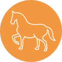 horse icon